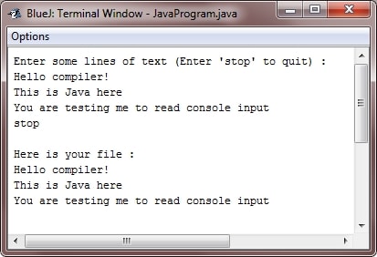 read-console-input-in-java