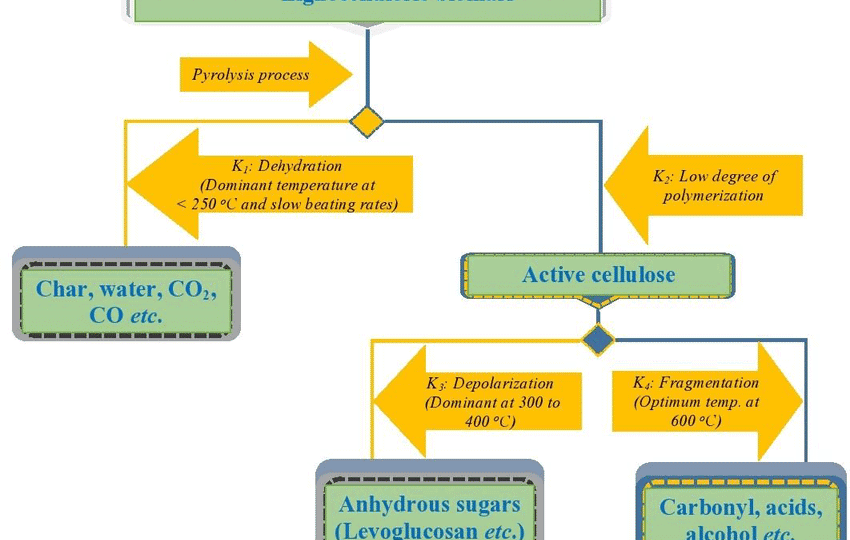 Waterloo-mechanism-of-primary-decomposition-of-lignocellulose-biomass-12