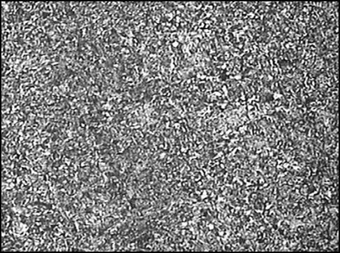 Microstructure-of-normalized-and-tempered-SAE-4340-steel-at-200X-magnification-Sample