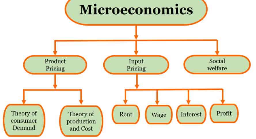 What-is-Mircoeconomics