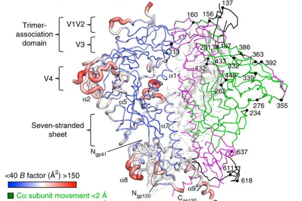 symmetric_protein_gcb-2
